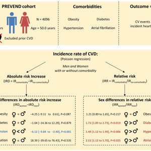 Половые различия в развитии сердечно-сосудистых заболеваний: акцент на абсолютном риске при коморбидной патологии